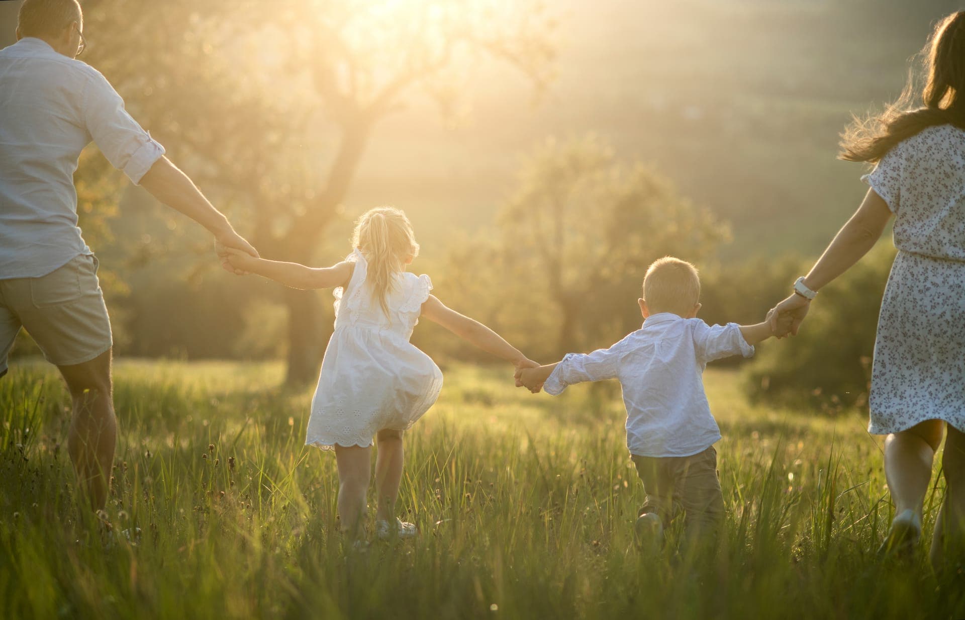 Family of four holding hands as they walk through a meadow in the late-day light